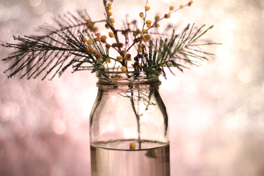 Photo Kombucha jar